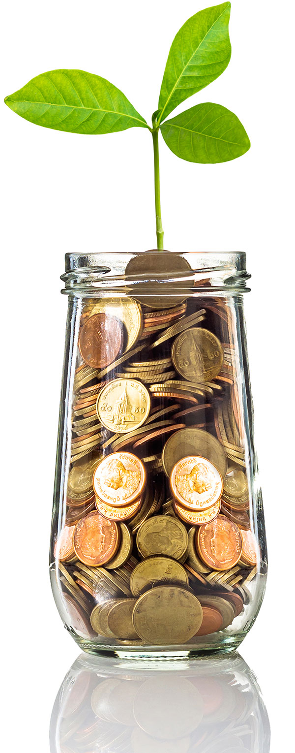 money jar growth